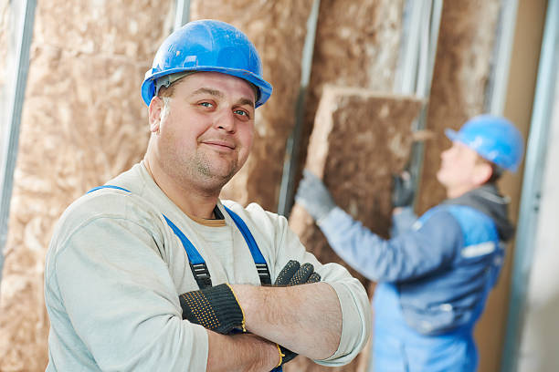 Best Attic Insulation Installation  in Elberta, AL